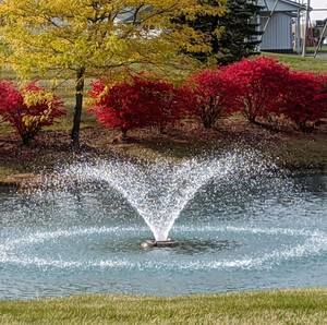 Meet your Posher, Dar calman